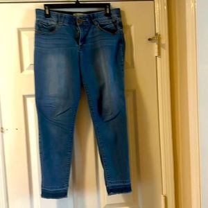 Democracy “Ab”solution ankle jeans size 10